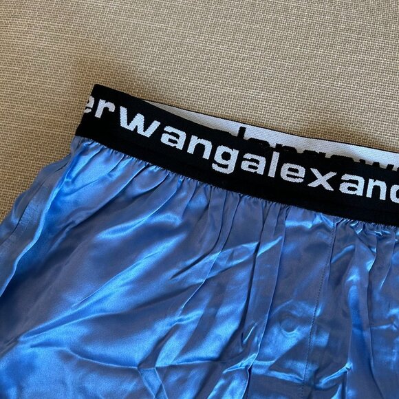 ✨ SALE NEW T by Alexander Wang Bermuda Boxer Silk Shorts Ocean Blue Logo Elastic - Picture 8 of 10